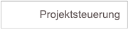            Projektsteuerung         