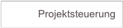            Projektsteuerung         